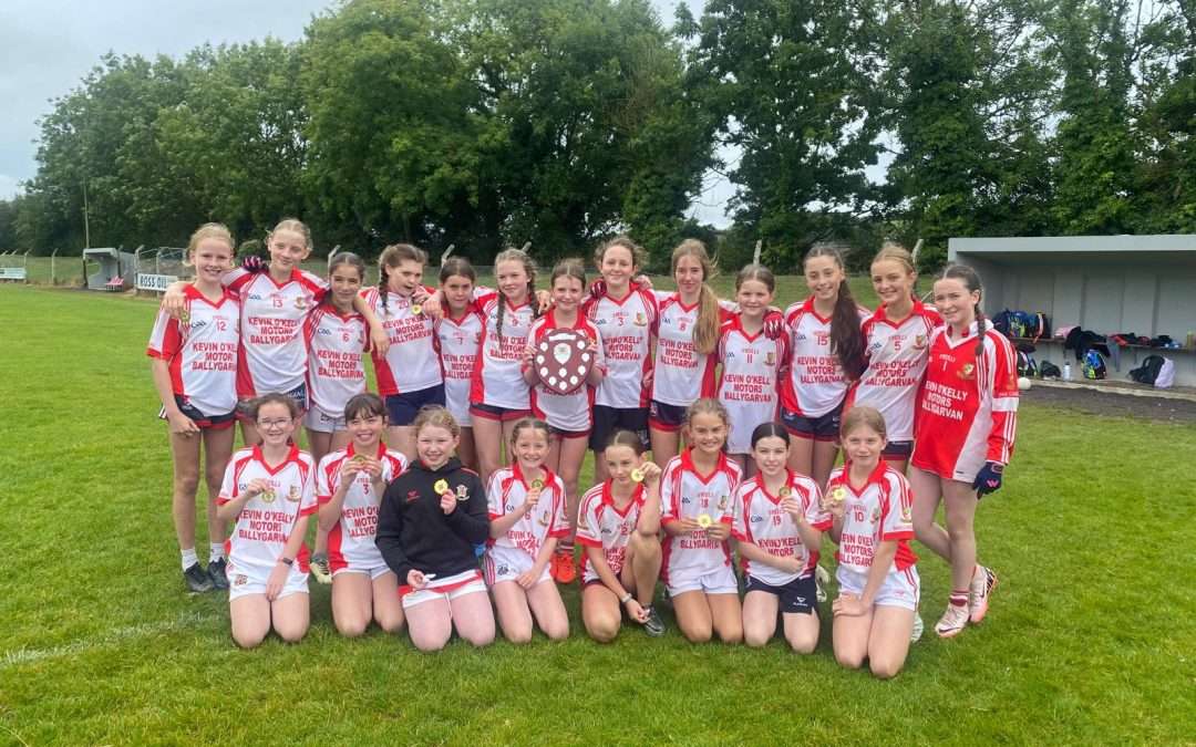 Victory in the Carrigdhoun Blitz